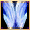 Skill 626